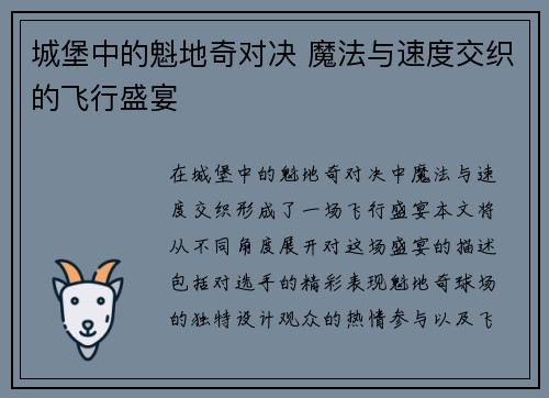 城堡中的魁地奇对决 魔法与速度交织的飞行盛宴